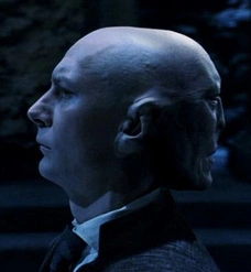 Quirrell &amp; Voldemort